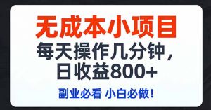 无成本小项目,每天操作几分钟,日收益800+ 副业必看 小白必做！-万象聊项目