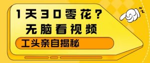 1天30零花？无脑看视频，大佬亲自揭秘-万象聊项目