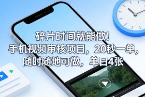 碎片时间就能做！手机视频审核项目，20秒一单，随时随地可做，单日4张+【揭秘】-万象聊项目