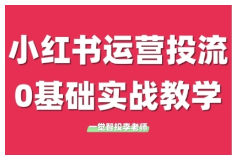 小红书运营投流，小红书广告投放从0到1的实战课，学完即可开始投放(更新26年)-万象聊项目