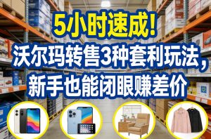 5小时速成！沃尔玛转售3种套利玩法，新手也能闭眼賺差价-万象聊项目