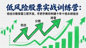 低风险股票实战训练营：低估分散排雷三箭齐发，手把手教你构建十年十倍永续组合-万象聊项目