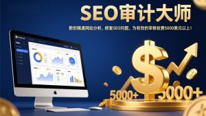 SEO审计大师:教你精通网站分析,修复SEO问题,为有效的审核收费5000美元以上!-万象聊项目