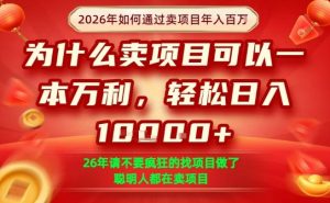 一单净利润1K+，26年想年入100个W，死磕卖项目就够了【揭秘】-万象聊项目