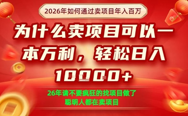 一单净利润1K+，26年想年入100个W，死磕卖项目就够了【揭秘】-万象聊项目