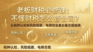 老板财税必修课：不懂财税怎么管公司？从税种认知到风险规避，电商创业者必备合规指南-万象聊项目