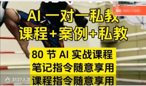 AI指令实战课,课程+案例,80节AI实战课程,笔记指令随意享用,课程指令随意享用(更新26年3月)-万象聊项目