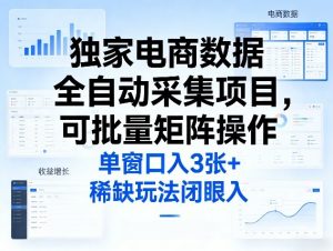 独家电商数据全自动采集项目，可批量矩阵操作，单窗口日入3张+，稀缺玩法闭眼入【揭秘】-万象聊项目