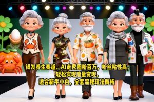 银发养生赛道，AI走秀圈粉百万，粉丝粘性高，轻松实现流量变现，适合新手小白，全套流程玩法解析-万象聊项目