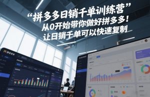 拼多多日销千单训练营,从0开始带你做好拼多多,让日销千单可以快速复制(更新26年3月)-万象聊项目