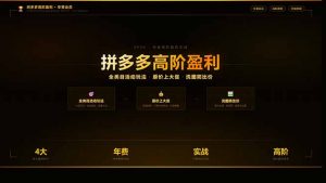 拼多多高阶盈利年费会员(更新3月31-万象聊项目