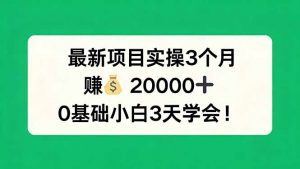 最新项目实操3个月，赚钱20000+，0基础小白3天学会！-万象聊项目