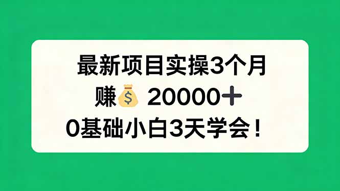最新项目实操3个月，赚钱20000+，0基础小白3天学会！-万象聊项目