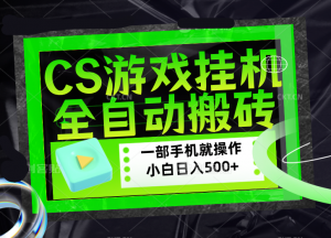 CSGO游戏挂机捡漏搬砖，超稳定的项目，带领1000+小白实现日入500+，数据可视频验证-万象聊项目