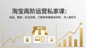 淘宝高阶运营私家课(更新26年4月-万象聊项目