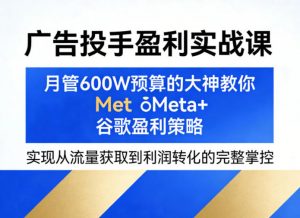 广告投手盈利实战课，月管600W预算的大神教你Meta+谷歌盈利策略，实现从流量获取到利润转化的完整掌控-万象聊项目