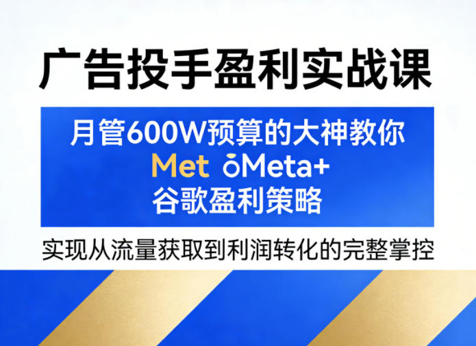 广告投手盈利实战课，月管600W预算的大神教你Meta+谷歌盈利策略，实现从流量获取到利润转化的完整掌控-万象聊项目