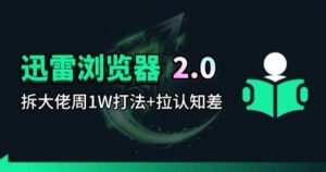 迅雷浏览器项目2.0_拆个大佬周1W的打法-万象聊项目