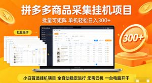 拼多多商品信息全自动采集项目，批量可矩阵，单机轻松日入300+，无需云机一台电脑开干【揭秘】-万象聊项目