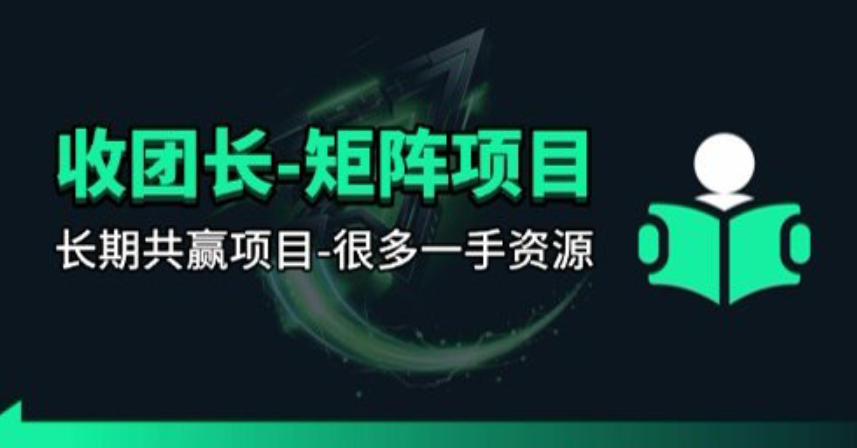 【团长合作】视频矩阵项目_招发手矩阵+剪辑师，共赢项目【揭秘】-万象聊项目
