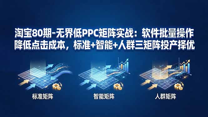淘宝80期-无界低PPC矩阵实战：软件批量操作降低点击成本，标准+智能+人群三矩阵投产择优-万象聊项目