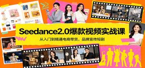 Seedance2.0爆款视频实战课：从入门到精通电商带货，品牌宣传短剧-万象聊项目
