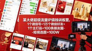 某大佬超级流量IP搞钱训练营，1个微信号+1万个微信好友+1个主打品+100条朋友圈-短视选题=100W-万象聊项目