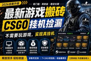 最新游戏搬砖，CSGO纯挂机，不需要玩游戏，实现真挂机，月入1W+，五一小高峰上车可吃肉，…-万象聊项目