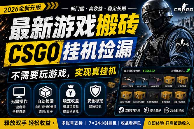 最新游戏搬砖，CSGO纯挂机，不需要玩游戏，实现真挂机，月入1W+，五一小高峰上车可吃肉，…-万象聊项目