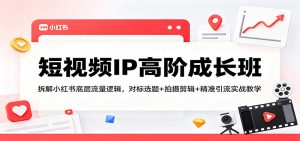 短视频IP高阶成长班：拆解小红书底层流量逻辑，对标选题+拍摄剪辑+ 精准引流实战教学-万象聊项目