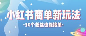 合新手小白操作的小红书商单新玩法，低粉丝也能接单，一个月接三单赚了150+！-万象聊项目