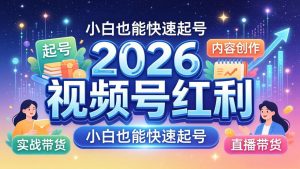 2026视频号红利实战营，大佬亲授起号、内容、直播、IP、投流、私域、矩阵全套落地打法-万象聊项目