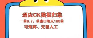 上班也能玩的酒店CK数据归集，一单0.7单窗口每天可做100单，一个人就能矩阵操作【揭秘】-万象聊项目