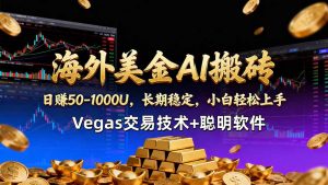 海外美金AI搬砖技术Vegas交易技术+聪明软件【训练营第七期】，日赚50-100U-万象聊项目