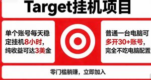 海外平台Target，正规运营商合作、技术兜底长期稳定、防风控、任务不断档、收益透明、灵活提…-万象聊项目