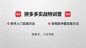 拼多多实战特训营(更新5月3-万象聊项目