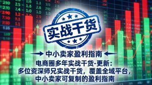 电商圈多年实战干货-更新5月10：多位资深师兄实战干货/覆盖全域平台，中小卖家可复制的盈利指南-万象聊项目