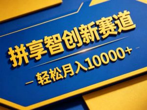 拼享智创新赛道，轻松月入1W+，门槛极低、收益稳定、可长期放大的轻资产项目【揭秘】-万象聊项目