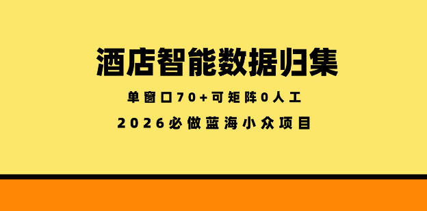 酒店智能数据归集，小众蓝海已经稳定半年之久，单窗口70+零成本矩阵开干【揭秘】-万象聊项目