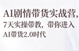 AI剧情带货实战营,7天实操带教,带你进入AI带货2.0时代-万象聊项目