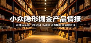 小众隐形掘金产品情报:避开巨头高门槛项目,小团队可直接复刻落地变现-万象聊项目