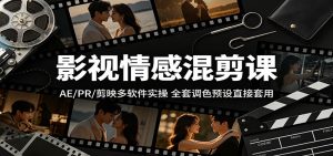 影视情感混剪课：AE/PR/剪映多软件实操，全套调色预设直接套用-万象聊项目