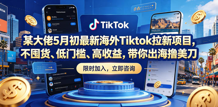 某大佬5月初最新海外Tiktok拉新项目，不囤货、低门槛、高收益，带你出海撸美刀-万象聊项目