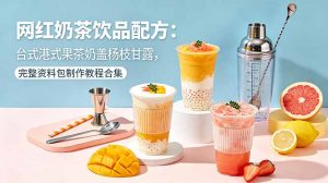 网红奶茶饮品配方：台式港式果茶奶盖杨枝甘露，完整资料包制作教程合集-万象聊项目