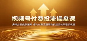 视频号付费投流操盘课：多维分析投放策略，借力付费流量带动自然流长效增长收益-万象聊项目