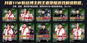 抖音11W粉丝博主的王者荣耀游戏解说教程，文案、配音、素材剪辑全流程，解锁伙伴计划+精选独家收益，日入1k+-万象聊项目