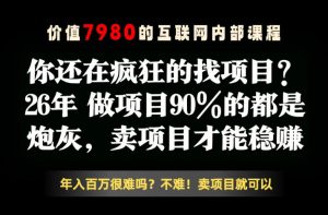 26年请不要疯狂的找项目了，卖项目远比你想象的暴利，你也可以月入10W+【揭秘】-万象聊项目