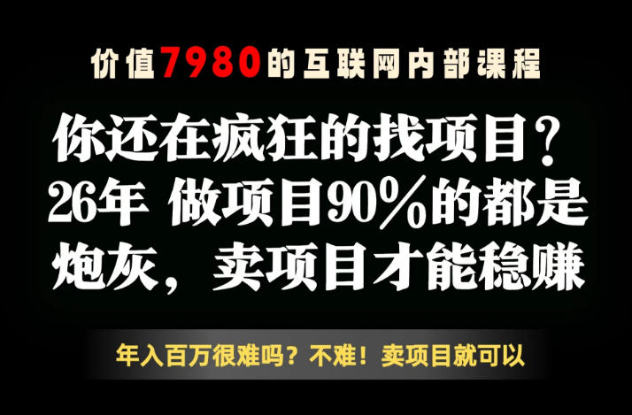 26年请不要疯狂的找项目了，卖项目远比你想象的暴利，你也可以月入10W+【揭秘】-万象聊项目