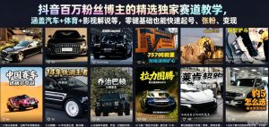 抖音百万粉丝博主的精选独家赛道教学，涵盖汽车+体育+影视解说等，零基础也能快速起号、涨粉、变现-万象聊项目