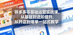 拼多多零基础运营实战课，从基础到进阶提升，从开店到爆单一站式教学-万象聊项目